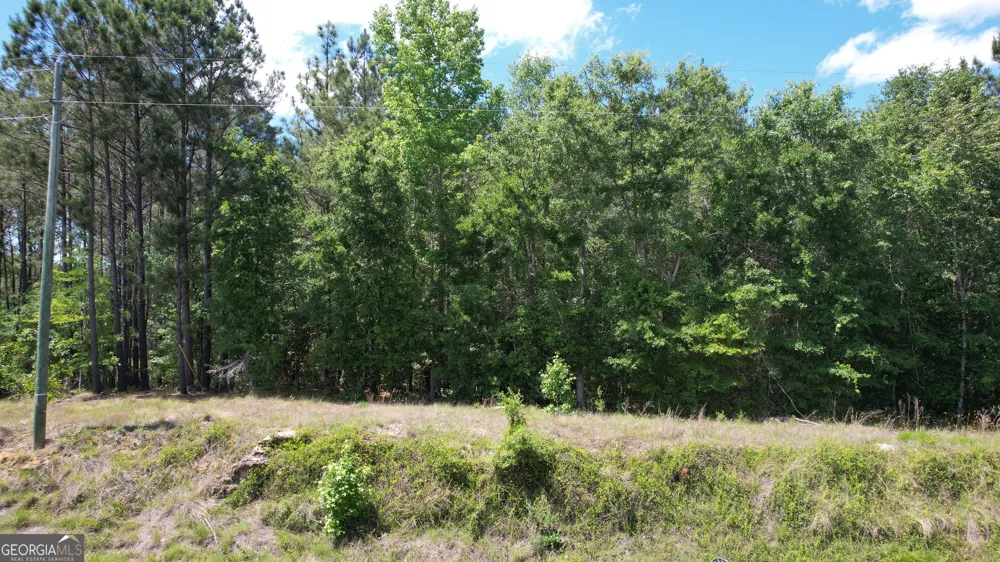 ROSE LOT Dublin Eastman RD Dexter, GA 31019