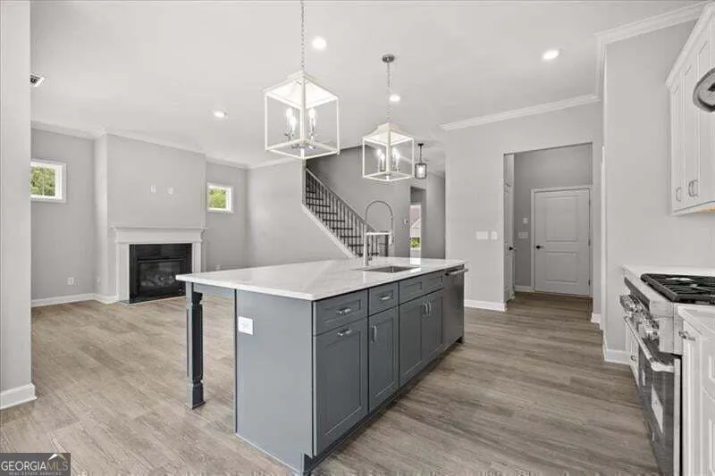 1101 Cooks Farm WAY Woodstock, GA 30189