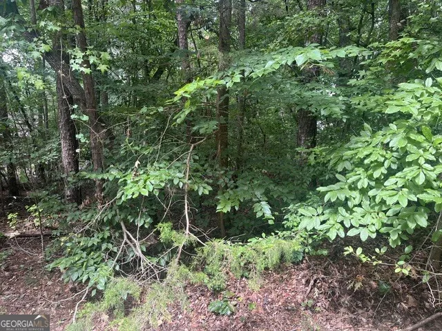 137 Tulip LN Westminster, SC 29693