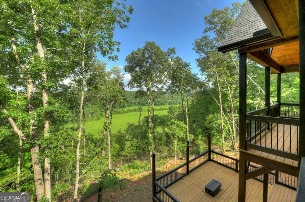 1729 Barnes Chapel RD Blue Ridge, GA 30513