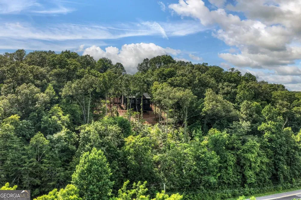 1729 Barnes Chapel RD Blue Ridge, GA 30513