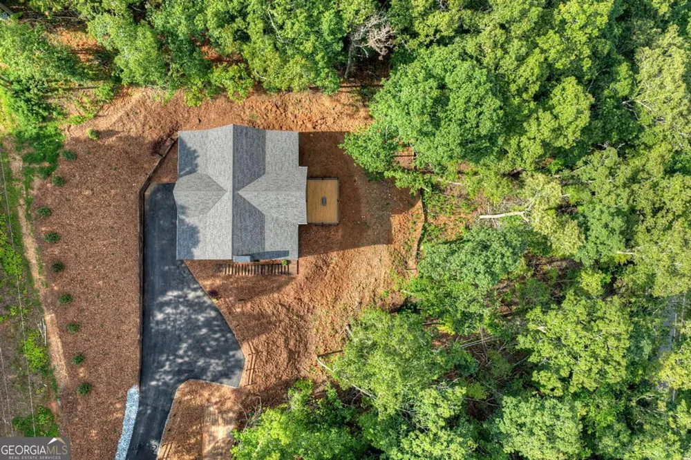 1729 Barnes Chapel RD Blue Ridge, GA 30513