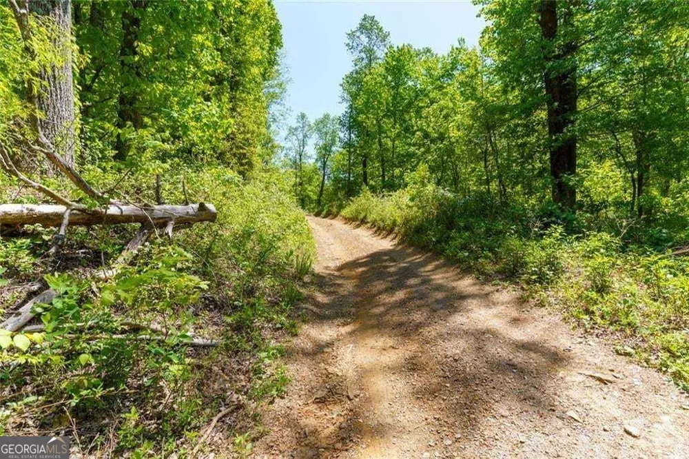 0 Fire Tower RD Jasper, GA 30143