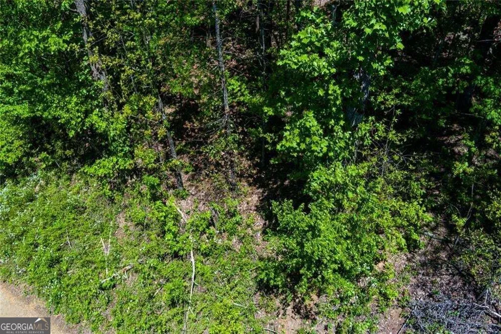 0 Fire Tower RD Jasper, GA 30143