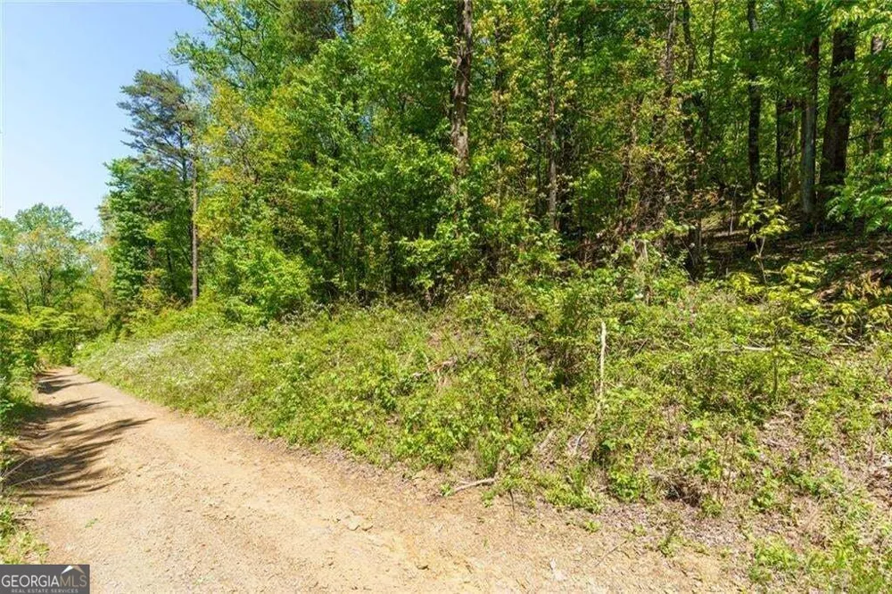 0 Fire Tower RD Jasper, GA 30143
