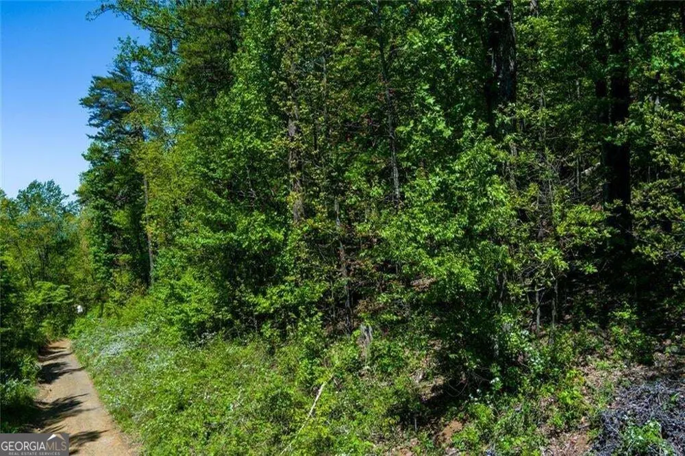 0 Fire Tower RD Jasper, GA 30143