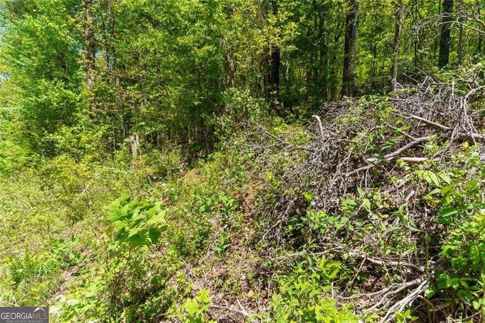 0 Fire Tower RD Jasper, GA 30143