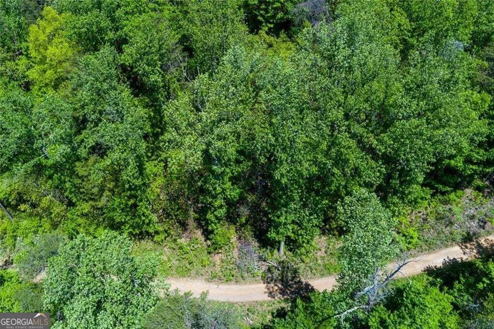 0 Fire Tower RD Jasper, GA 30143