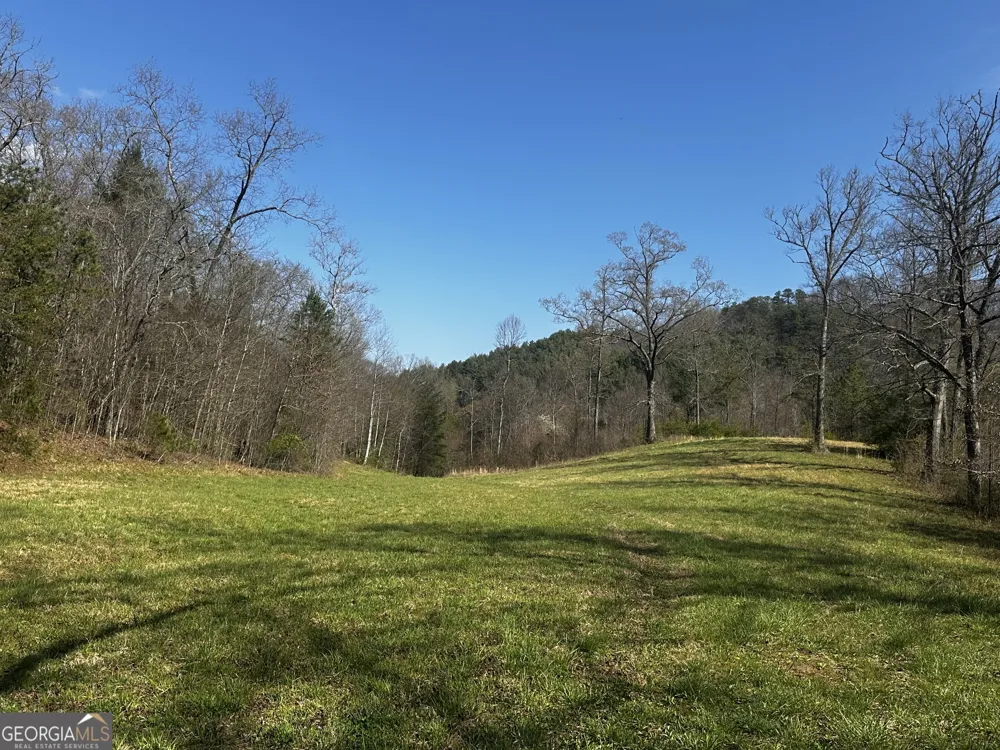 0 Georgia RD Otto, NC 28763