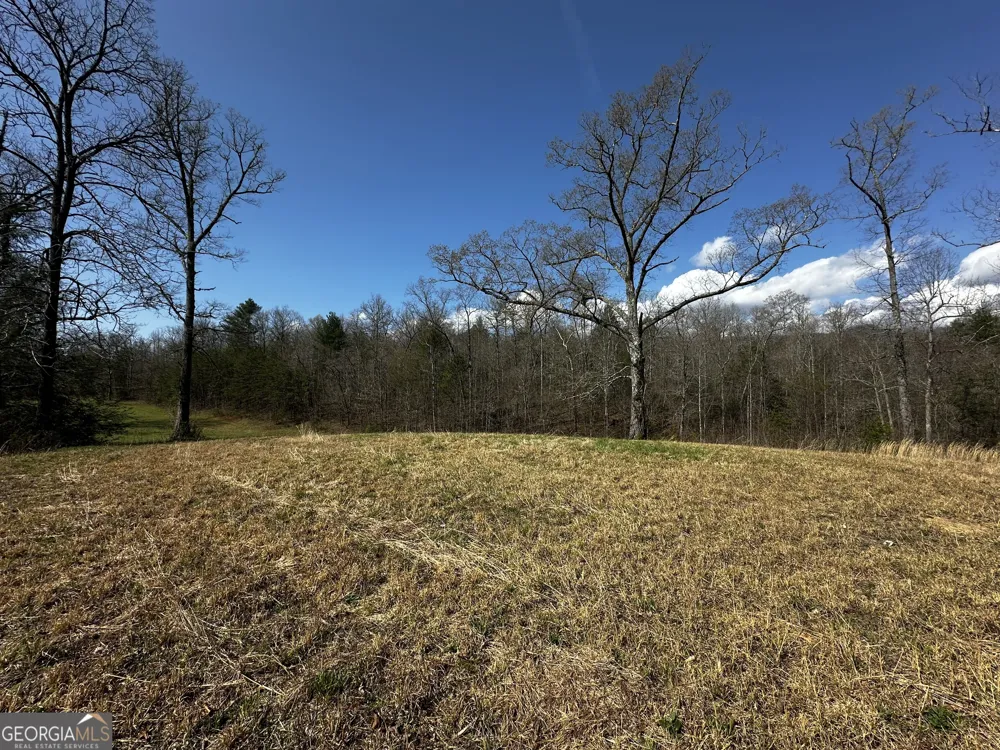 0 Georgia RD Otto, NC 28763