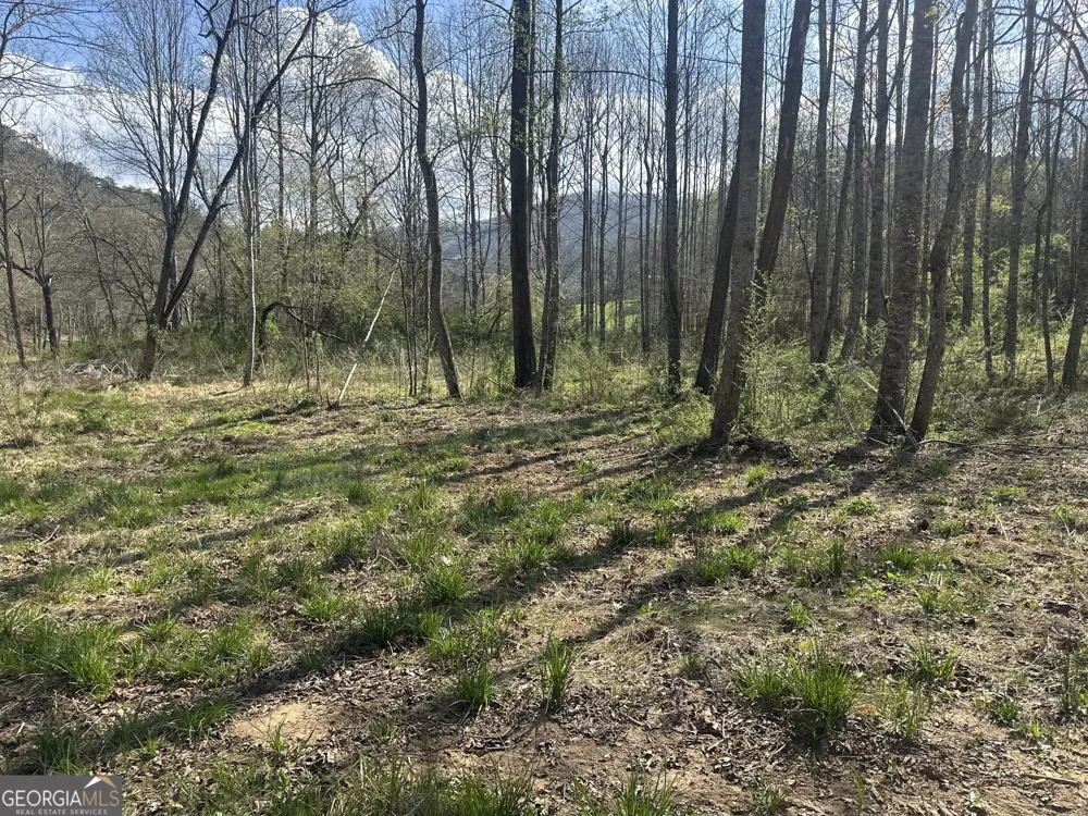 0 Georgia RD Otto, NC 28763