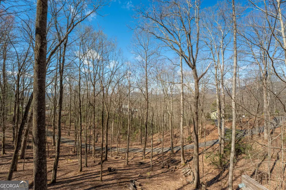 44 Juniper TRL Clayton, GA 30525