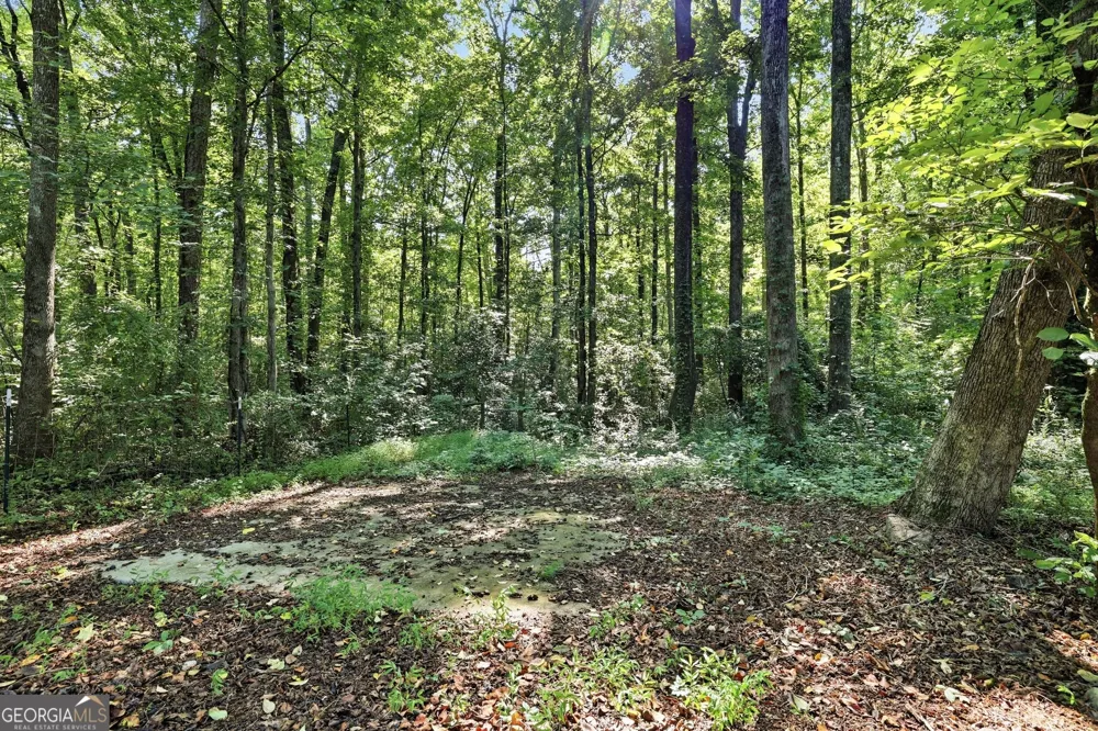 342 Stonington DR Mount Airy, GA 30563
