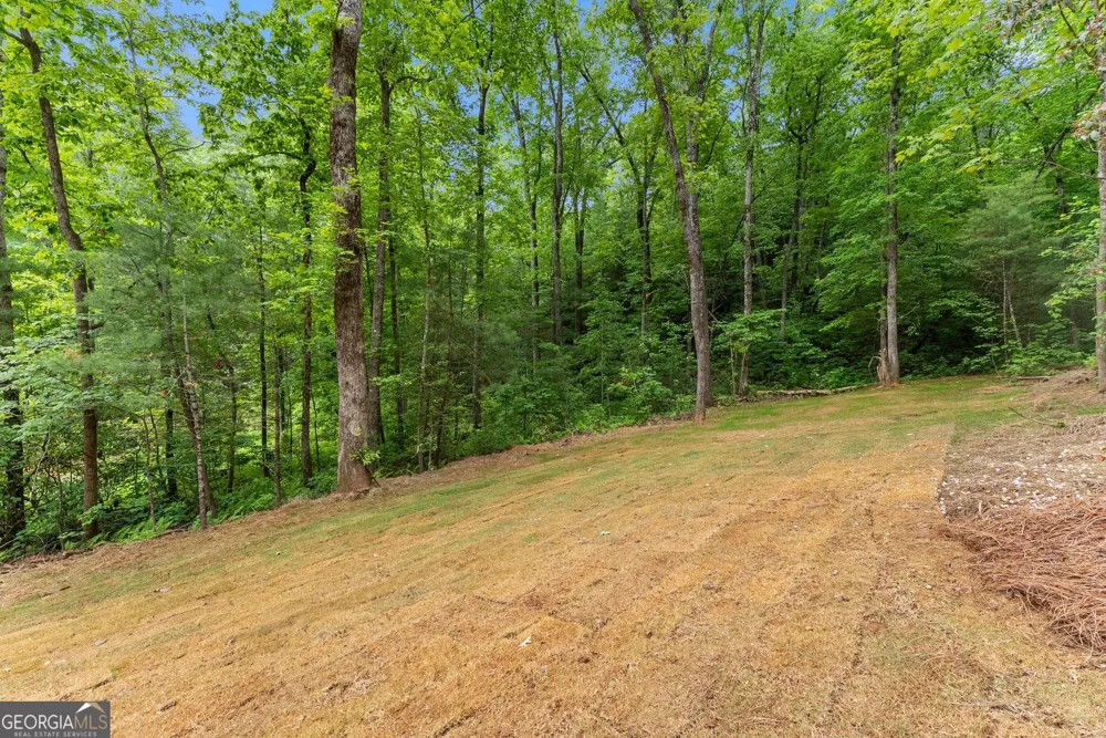 286 Frances DR Ellijay, GA 30536