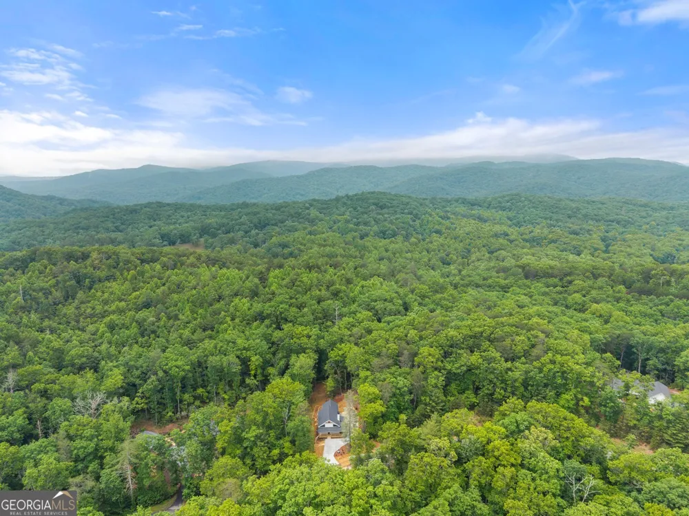 286 Frances DR Ellijay, GA 30536