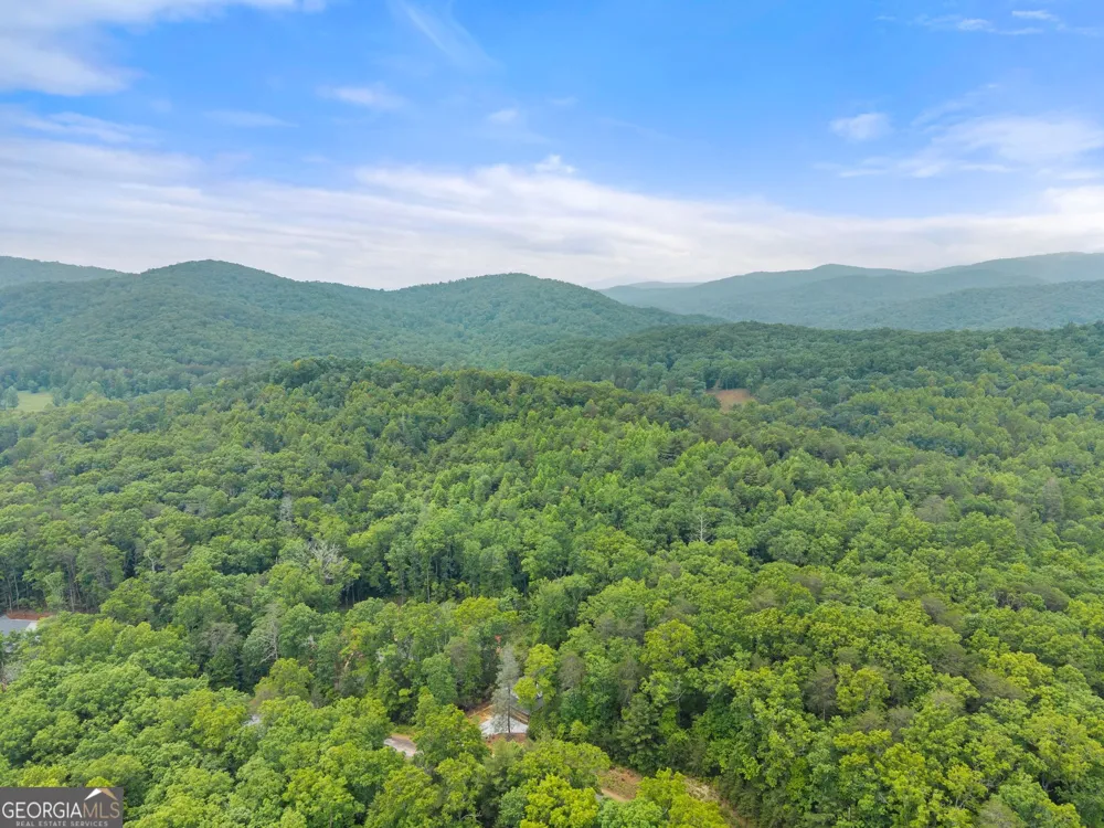 286 Frances DR Ellijay, GA 30536