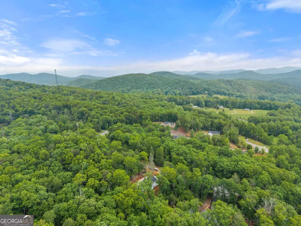 286 Frances DR Ellijay, GA 30536