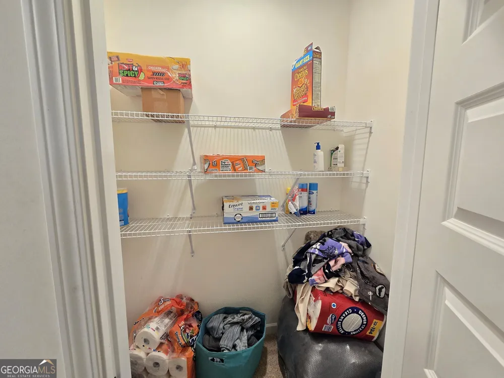 134 Oakchase Park LN Hampton, GA 30228