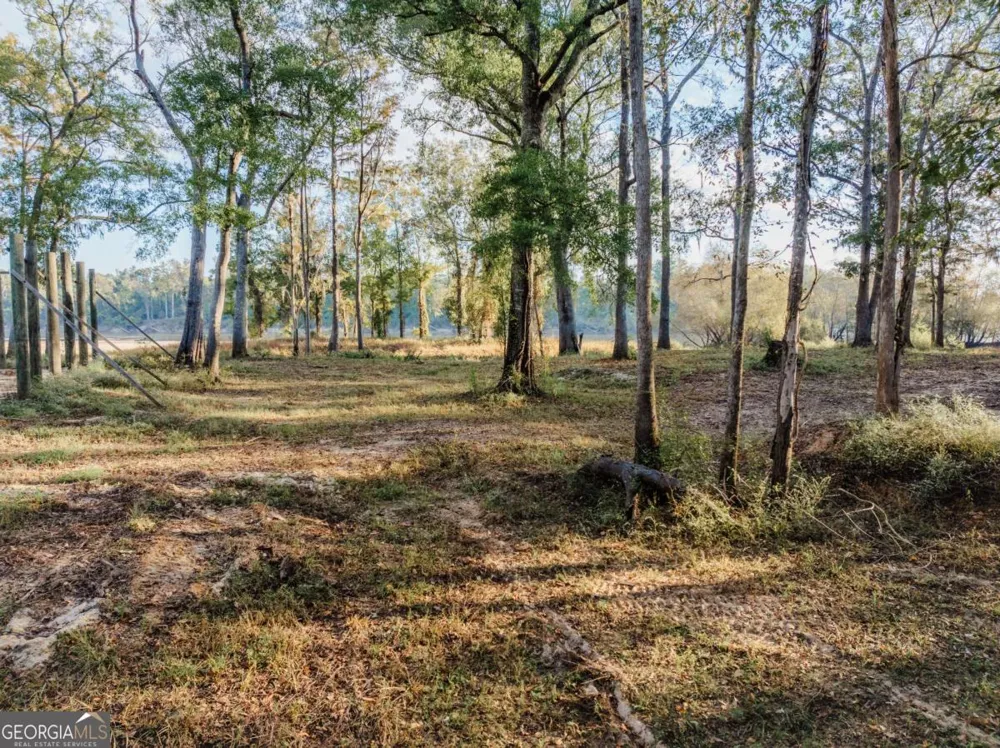 0 Eagles PT Surrency, GA 31563