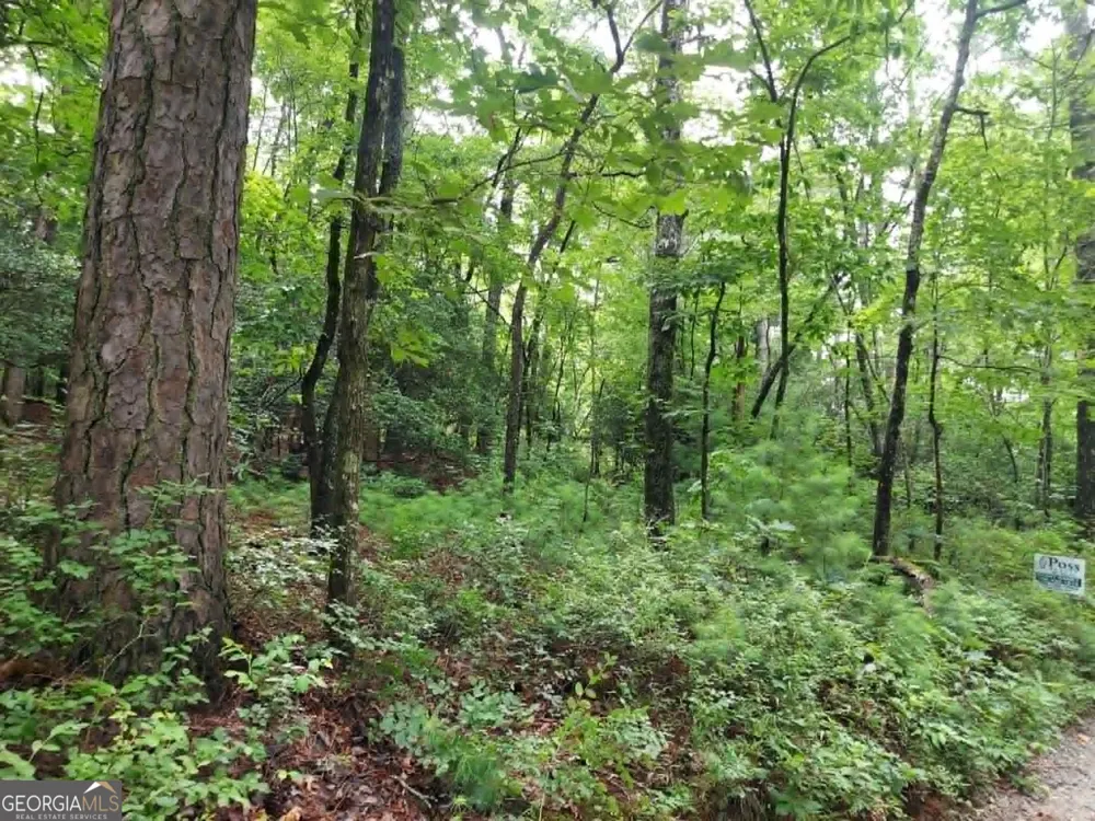 0 LOT 1A Wexford Way Lakemont, GA 30552