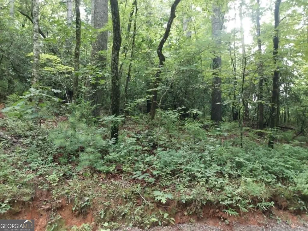 0 LOT 1A Wexford Way Lakemont, GA 30552