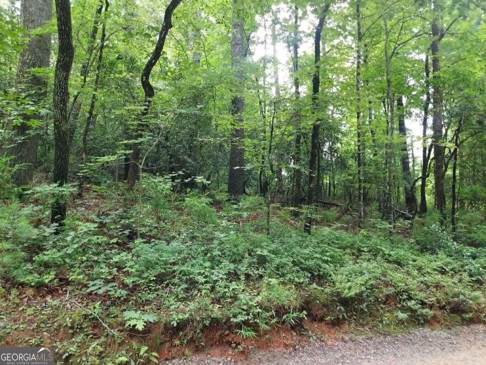0 LOT 1A Wexford Way Lakemont, GA 30552