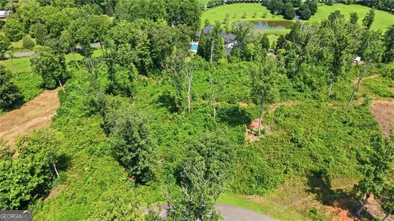 17 Mystic DR Ellijay, GA 30540
