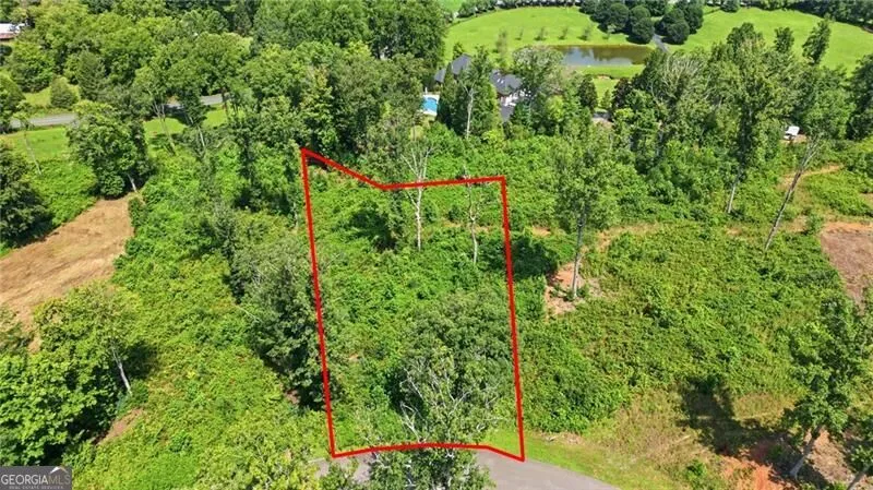 17 Mystic DR Ellijay, GA 30540