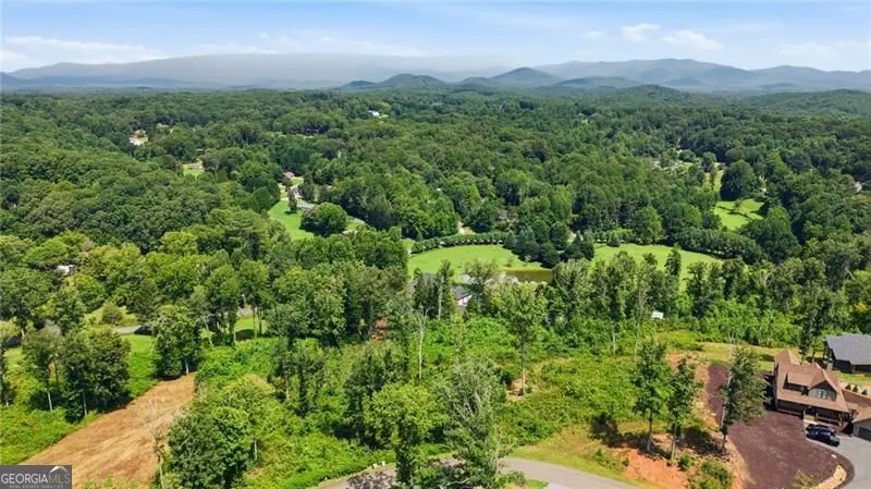 17 Mystic DR Ellijay, GA 30540