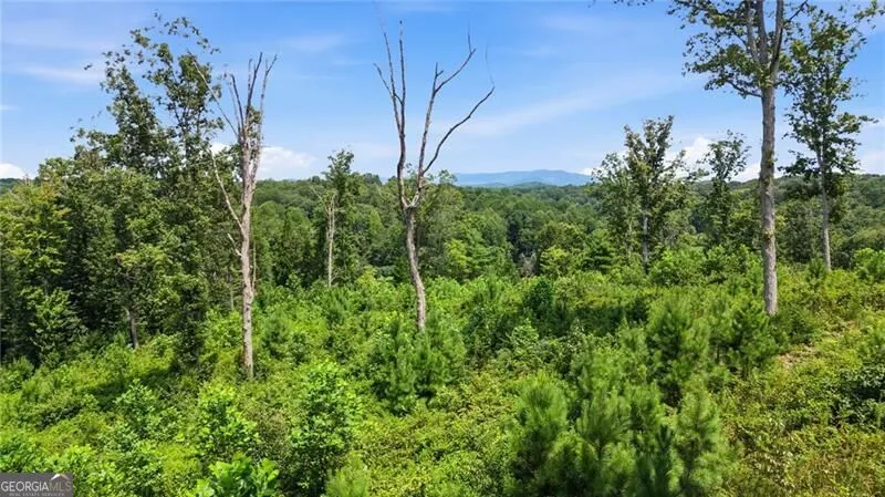 17 Mystic DR Ellijay, GA 30540