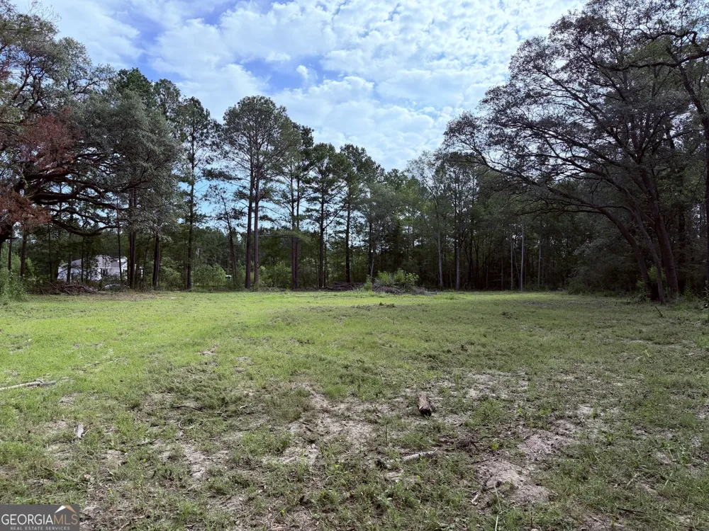 3980 Mosely RD Claxton, GA 30417