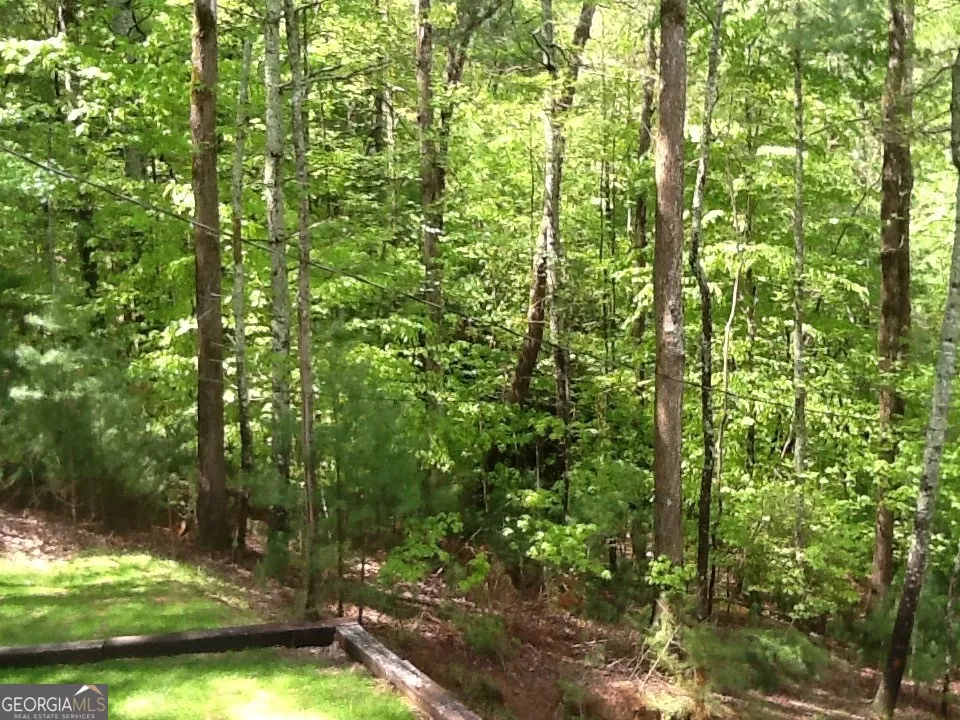290 Ruby LN Ellijay, GA 30540