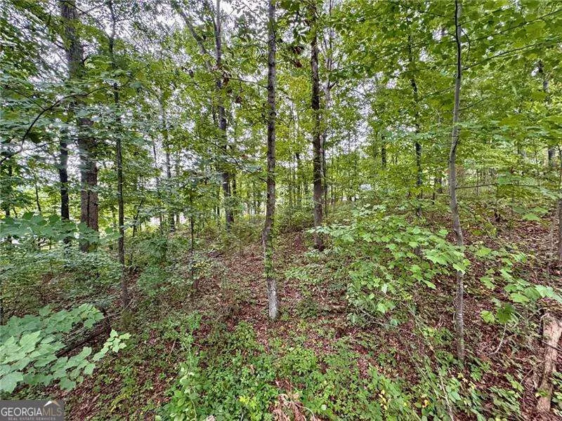 4205 Loftwood DR Cohutta, GA 30710