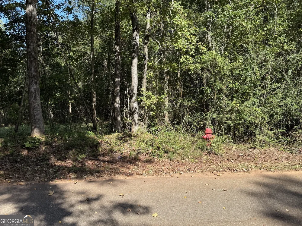 0 Hudson Hamilton, GA 31811