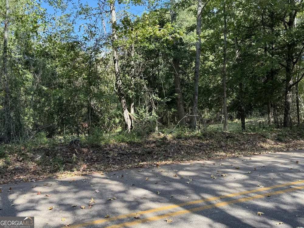0 Hudson Hamilton, GA 31811