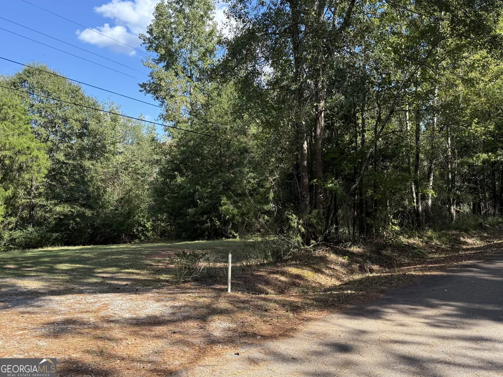 0 Hudson Hamilton, GA 31811