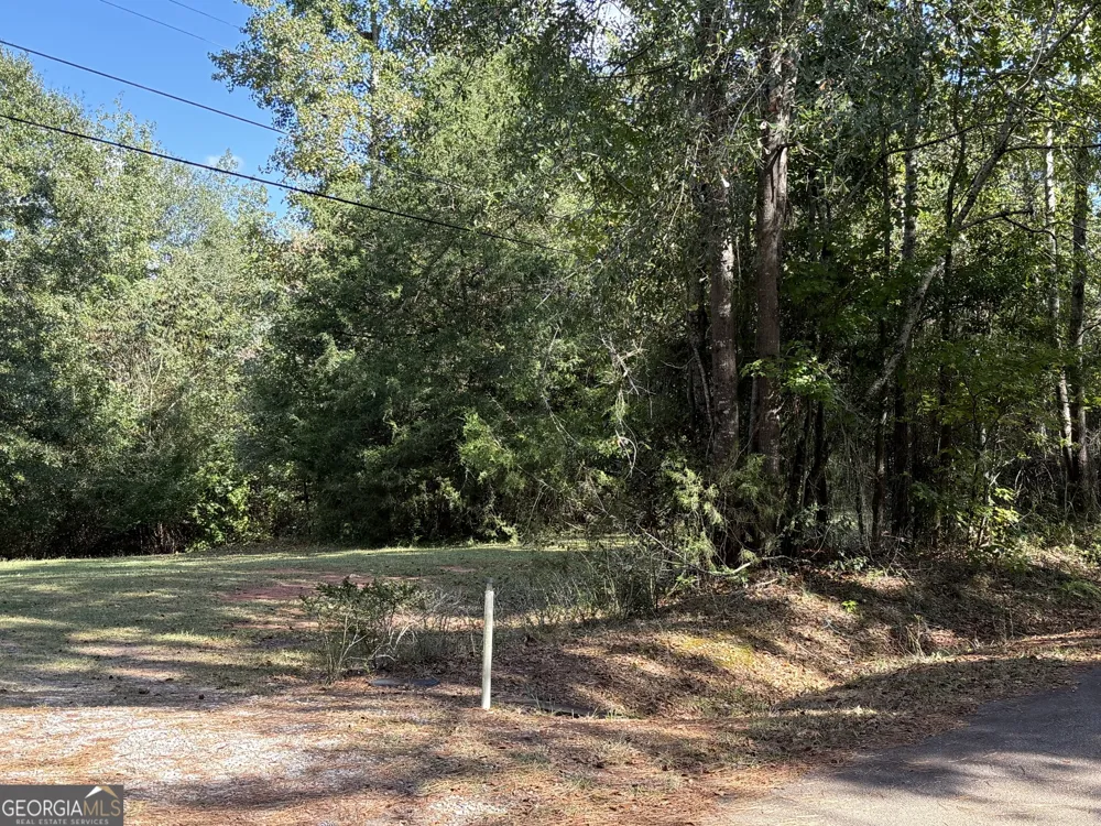 0 Hudson Hamilton, GA 31811