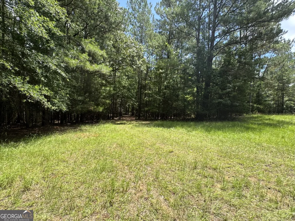 2 Roy Lawrence RD Sparta, GA 31087