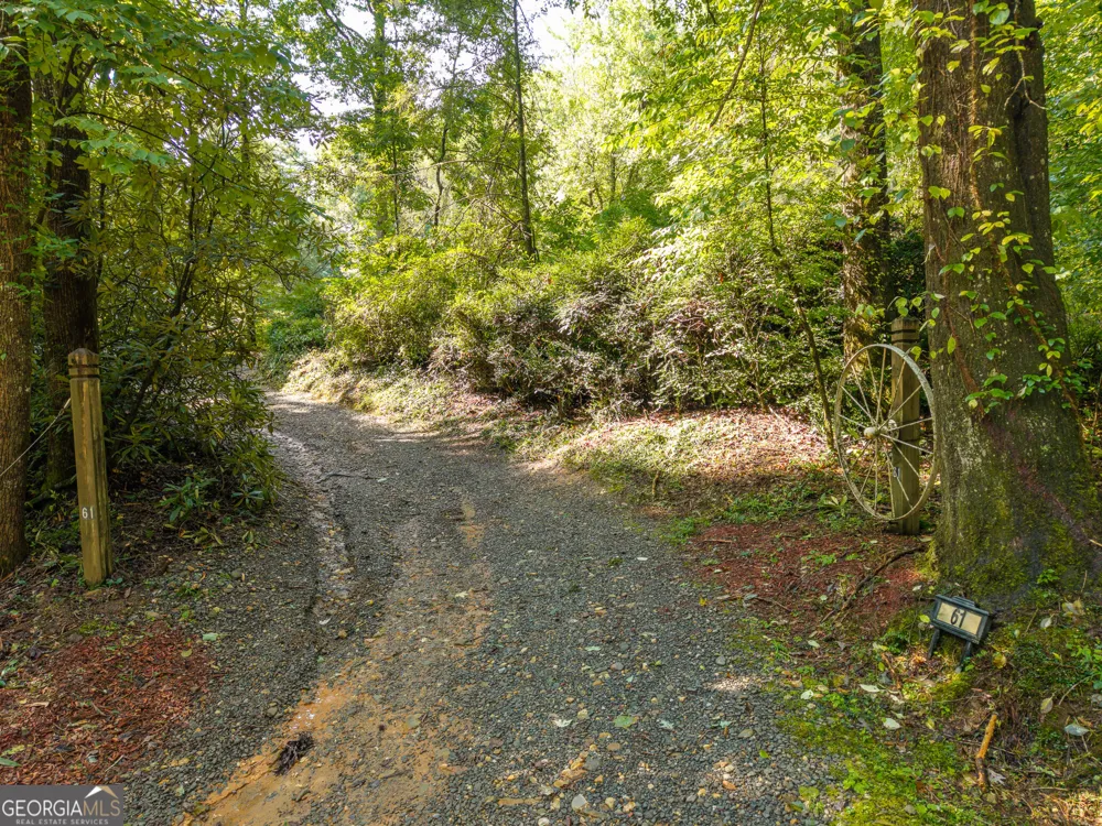 61 Wilderness TRL Ellijay, GA 30540