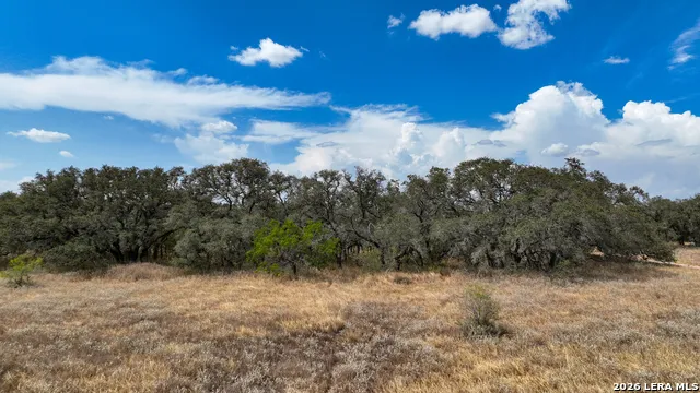 1156 PR Vista Hills Ln Somerset, TX 78069