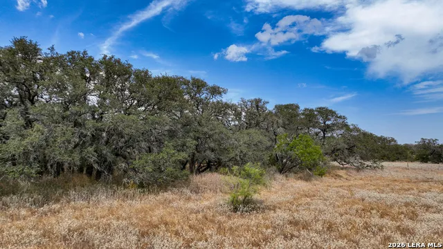 1156 PR Vista Hills Ln Somerset, TX 78069