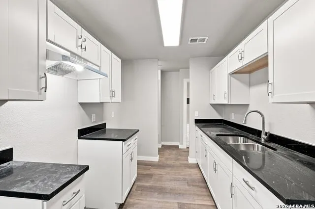 8012 LAUREL BND San Antonio, TX 78250