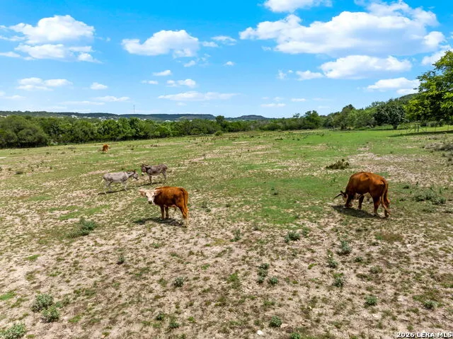 834 NORTHWOOD HILLS DR Fredericksburg, TX 78624