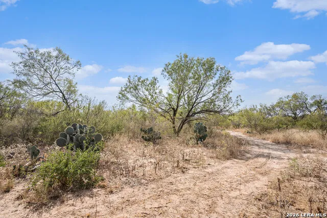 545 County Road 741 Yancey, TX 78886