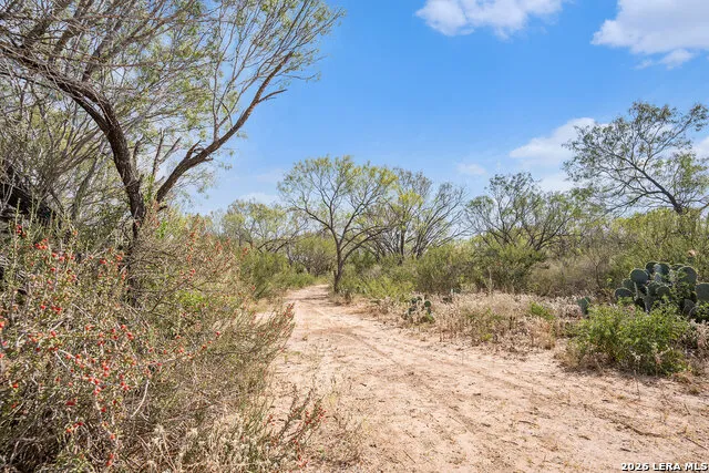 545 County Road 741 Yancey, TX 78886