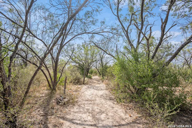 545 County Road 741 Yancey, TX 78886