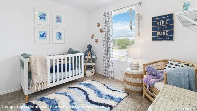 2017 Zanzibar Gem San Antonio, TX 78221