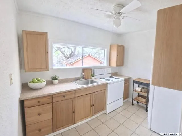 31567 Panther Bulverde, TX 78163