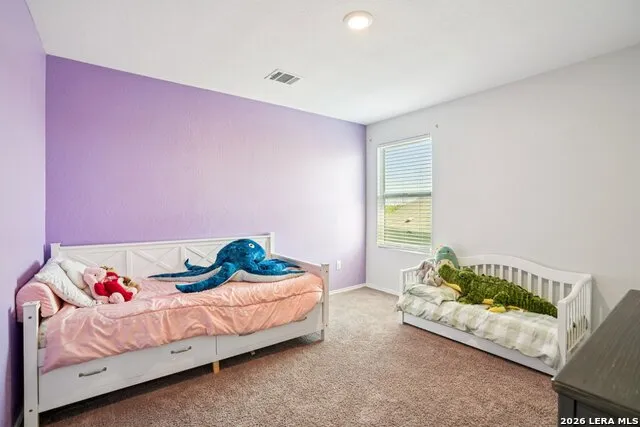 13118 LEVI TER San Antonio, TX 78221