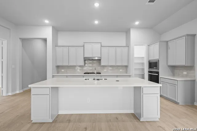 2503 Tortuga Verde San Antonio, TX 78245